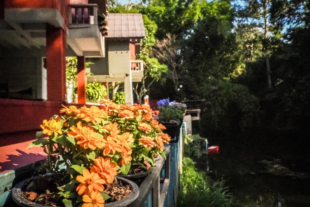 Chomklong Experience Bed & Breakfast Pakchong Ngoại thất bức ảnh
